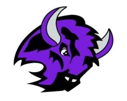 Buffalo Baseball