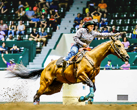 WSCF Horse Show 5/21-5/22 - Canon Falls