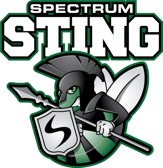 Spectrum High School