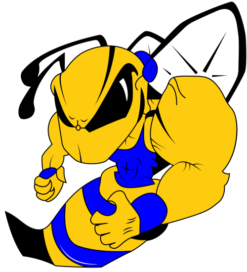 Big Lake Youth Wrestling