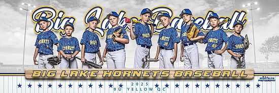 2025 Big Lake Youth Baseball Travel-Quad City Teams Photo Day