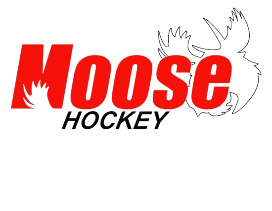 2024-25 Monticello Moose Youth Hockey Photo Day