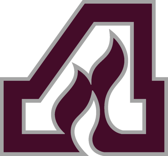 Anoka Area Hockey