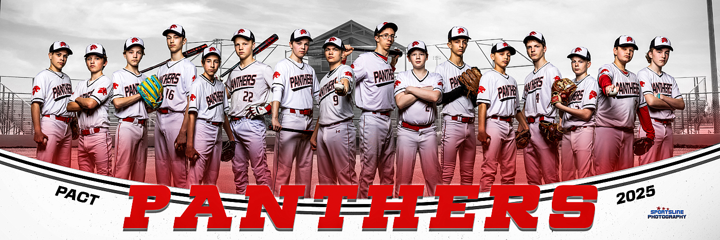 Boys' baseball team photo with baseball field background.
